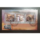 Республика Гвинея. 2014 год. Фауна. Кошки. Блок (761)