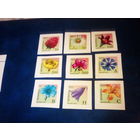 Беларусь 2002 стандарт