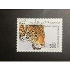 Сомали 1997. Большие кошки
