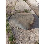 "Седло от мотоцикла Урал"ретро-ссср!