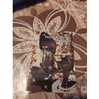 Реклама ссср,пресса,журнал мода