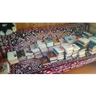 Серия книг ( пламенные революционеры).