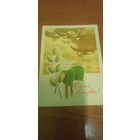 Открытка с 8 марта чистая. Колесников.