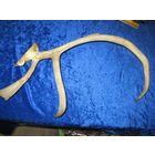 Рог Северного оленя, 49 см(2).