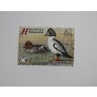 Марки РБ. Птица года. Гоголь. 1м. 2016