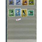 ПОЛЬША, 1964,  ПТИЦЫ,    8м