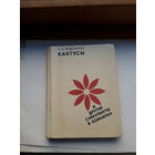 Левданская Кактусы и другие суккуленты в комнатах