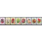 Беларусь 2008.Стандарт. Садовые цветы. Бумага мелованная. 8 марок 729-36 (424)