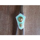 Значёк сельско-хозяйственного техникума.