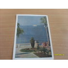 Открытка Сочи   Изогиз  1958 год