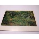 Открытка. И. И. Шишкин. Сныть-трава.