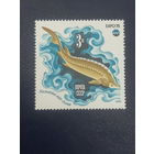 СССР 1975г. Экспо-75 Каспийское море.Осетр
