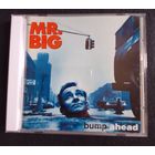 CD,(Japan) Mr. Big – Bump Ahead