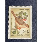 Певчие птицы.Тростниковая сутора. СССР 1981г.