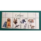 2003 Собаки Беларусь