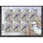 ФФ1 Беларусь 2022 Белая синица