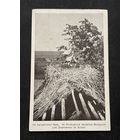 Брэст-Літоўск Ракітна Брест-Литовск / На пазіцыях / Фельдпошта 17.11.1918 STURM Kapitan Willy Meyer