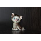 Фарфоровая, декоративная статуэтка "Котенок".