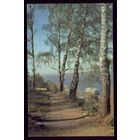 1982 Московские новости