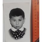 Фото в коллекцию