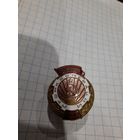 Значок ссср отличник