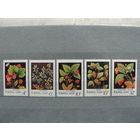 Продажа коллекции с 1 рубля! Чистые почтовые марки СССР в коллекционном** состоянии.