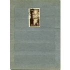 СССР, 1938, ВИДЫ КРЫМА И КАВКАЗА  ,    1м  гашен