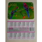 Карманный календарик. Попугаи.2021 год