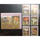 Республика Гвинея. 1996 год. Флора. Грибы. Блок и 6 марок (991)