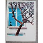 Каневский. "Веселая семейка" Носова