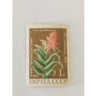 Марка из серии "Лекарственные растения" - Алоэ древовидное