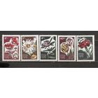 ФФ1 СССР 1965 Цветы