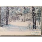 С Новым годом! Г.Костенко. Почтовая карточка, прошедшая почту, 1970г.