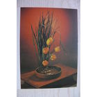 Левянт Ю., Пономаренко А., Композиция из цветов; 1987, двойная, чистая.