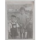 Фото в коллекцию