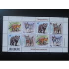 2020 Зверята** Блок