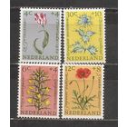 ФФ1 Нидерланды 1960 Цветы
