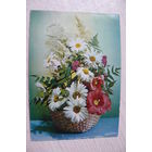 Круцко Б., Композиция из цветов; 1985, чистая (ромашки).