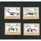 ЮАР. Сискей. Сельскохозяйственная техника. Плуги