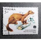 Марка Польша 1984 год Фауна