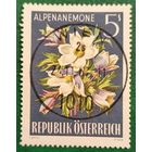 Австрия 1966. Флора. Альпийский прострел
