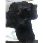 Шапка ушанка кроличья СССР