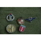 Значки  ( 3 +2 )