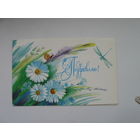 Варламова Т. 1987г.