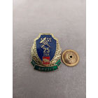 Знак 25 лет таможенный пост "Брузги"