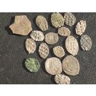 Коллекция чешуи и кусочек сребреника