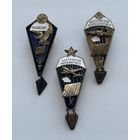 НАГРУДНЫЕ ЗНАКИ ОТЛИЧИЯ ДЛЯ ПАРАШЮТИСТОВ (Т. М)!!! ТОРГИ С РУБЛЯ БЕЗ МЦ!!!