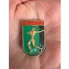 ДЮСШ Речица тяжелый значок олимпиада