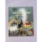 Свет имени в ночи времен