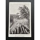 Брэст-Літоўск Ракітна Брест-Литовск / На пазіцыях / Фельдпошта 17.11.1918 STURM Kapitan Willy Meyer